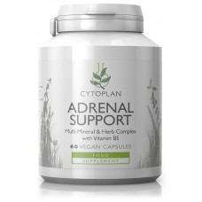 Maisto papildas „Adrenal Support“ su vitaminu B5 (60kaps.)